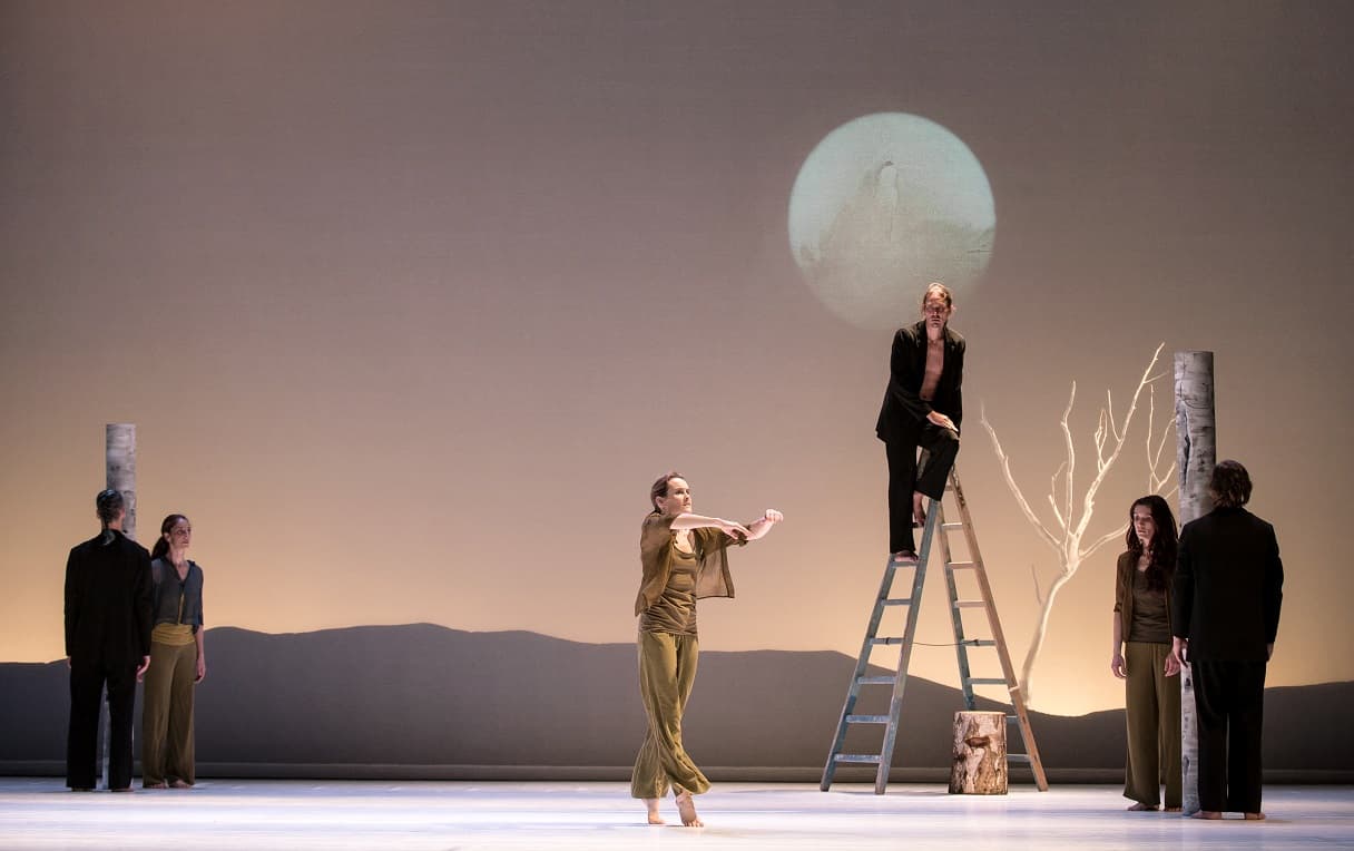 La Carolyn Carlson Compagny au pied de son arbre