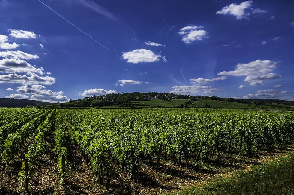 Les quilles du mois : le rouge et le blanc