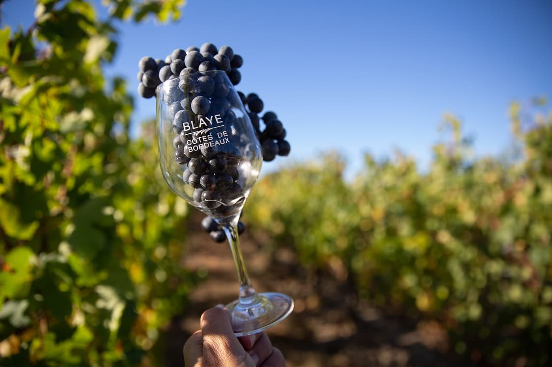 Avec Le printemps des vins de Blaye, coup de projecteur sur une appellation haute en couleur