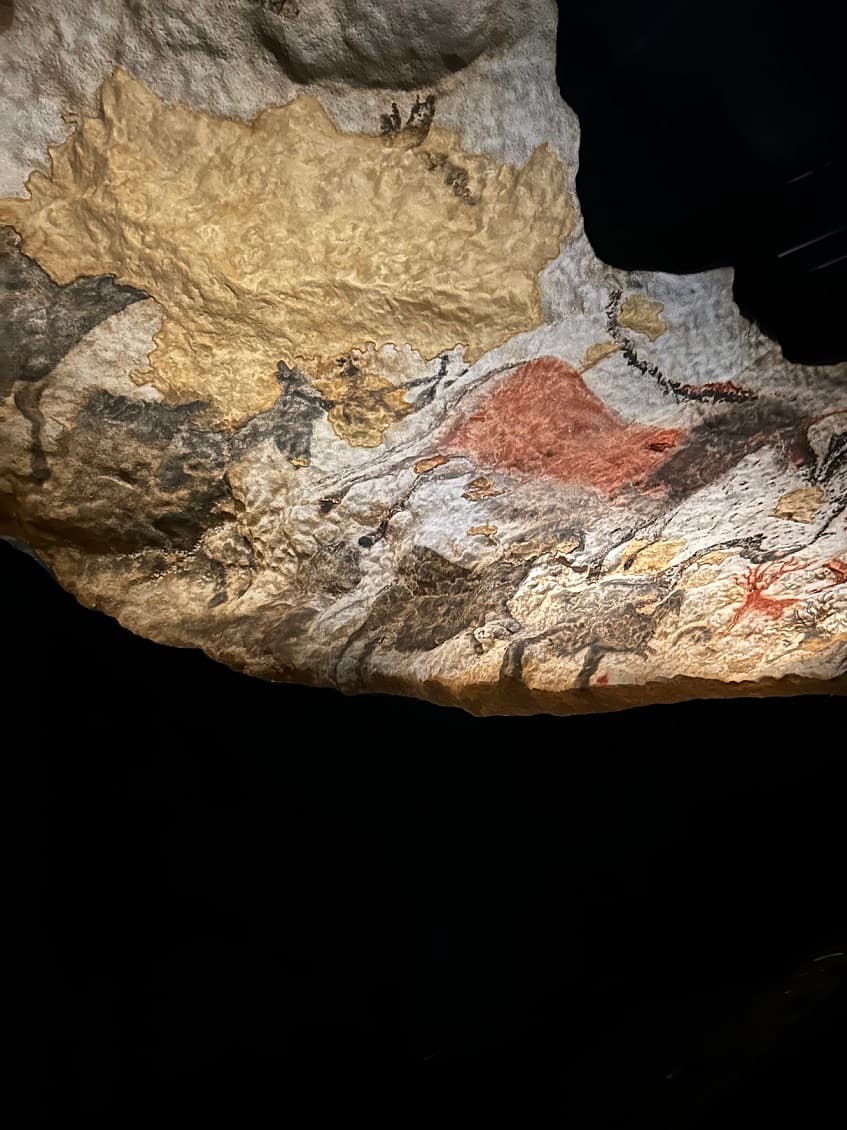 Les taureaux de la grotte de Lascaux en majesté à Cap Sciences
