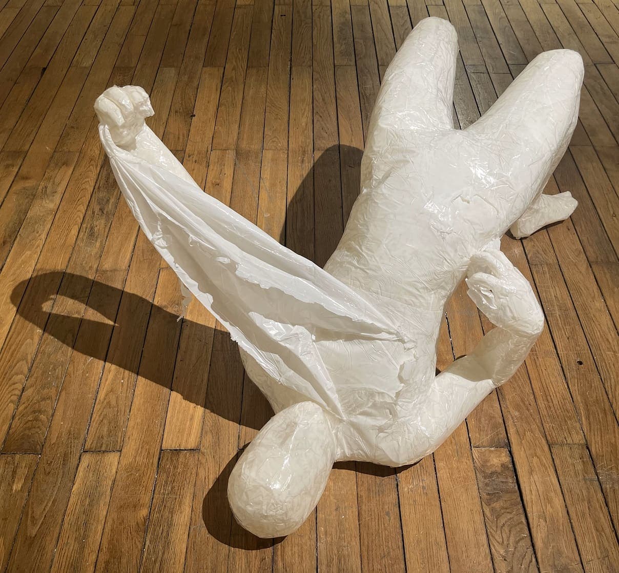 Le corps dans tout ses états à Périgueux avec une exposition collective