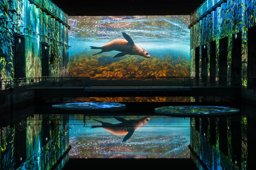 Les Bassins des Lumières plongent 20 000 lieues sous la mer