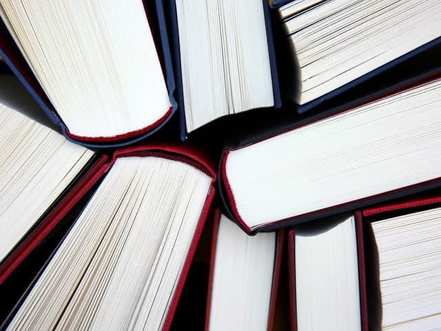 Roman, BD, biographie : les recommandations des libraires de Nouvelle-Aquitaine
