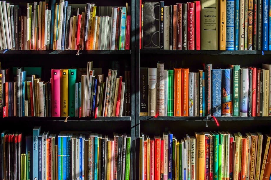 En juin, de grandes ventes de livres à petits prix prévues dans des bibliothèques de Gironde