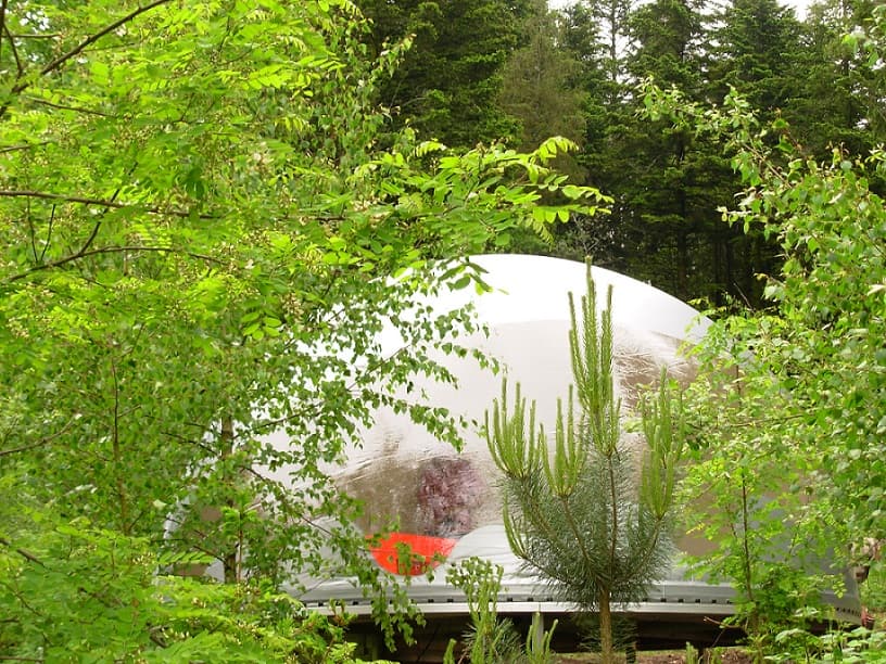 Le Bois de sculptures, 40 ans d’une collection qui dialogue avec la nature