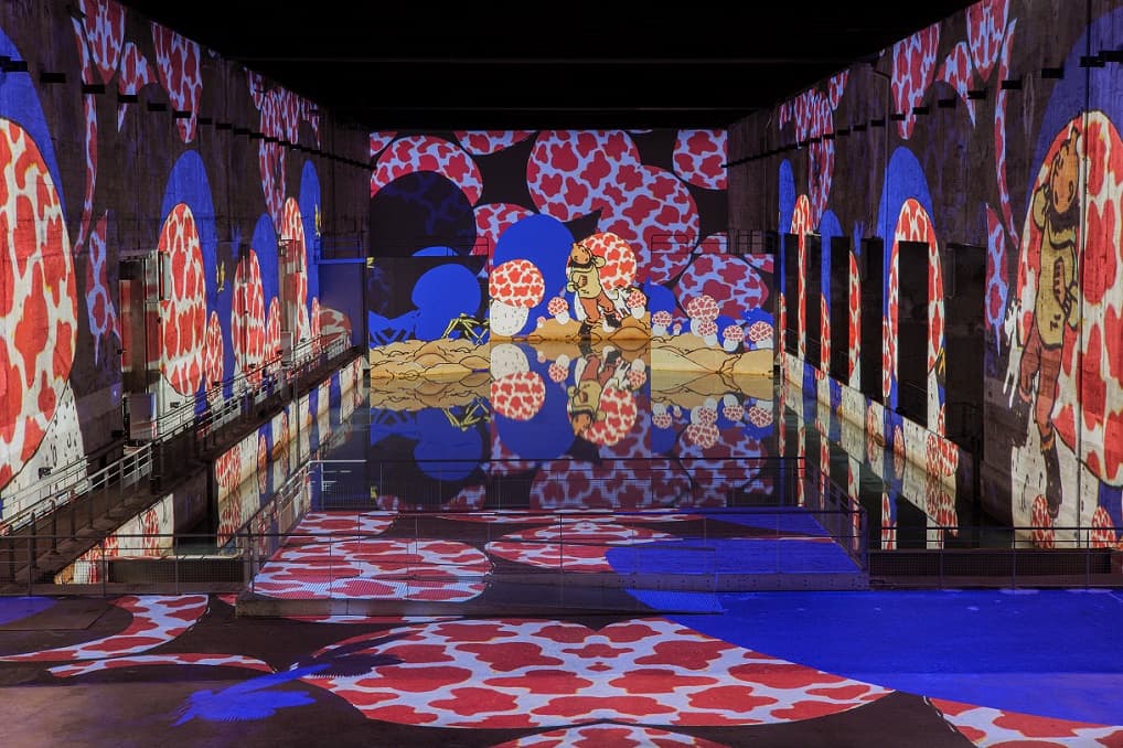 Bassins des Lumières : le retour de la folle aventure de Tintin à Bordeaux