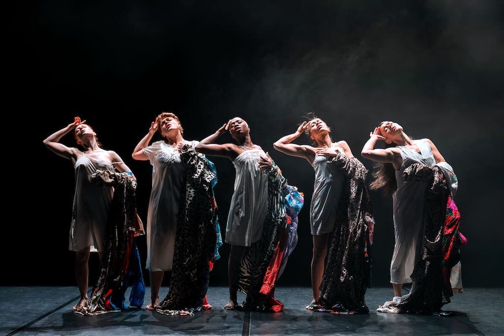 La maldonne rebat les cartes de la danse