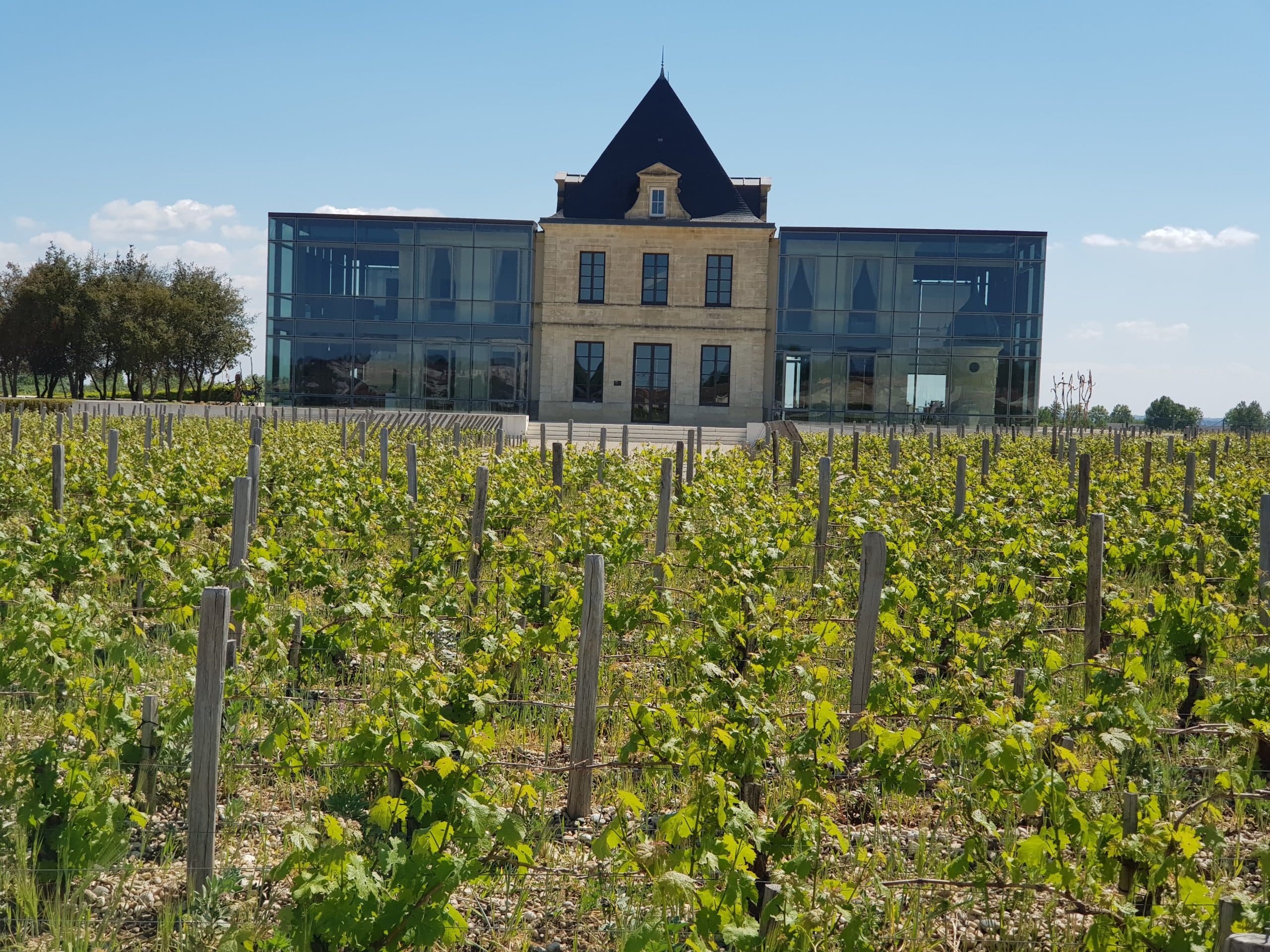 MÉDOC SANS ORIPEAUX (OU PRESQUE)