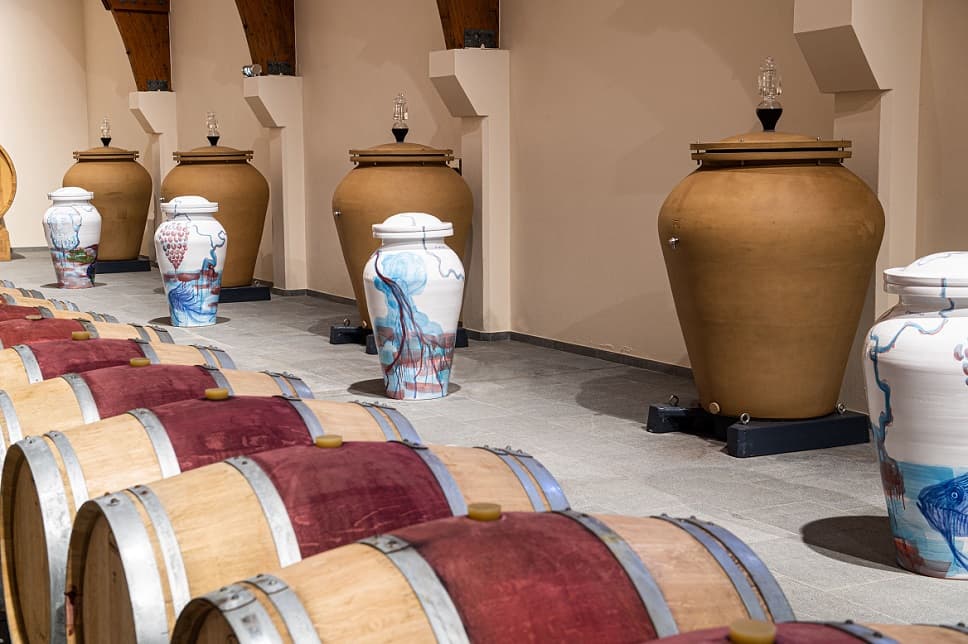 Un château du vignoble bordelais expose les « Chroniques du vivant »