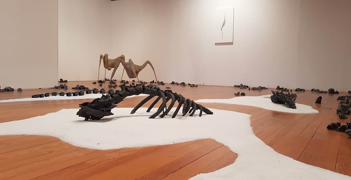 Effervescence hivernale au Centre d’art contemporain de Meymac