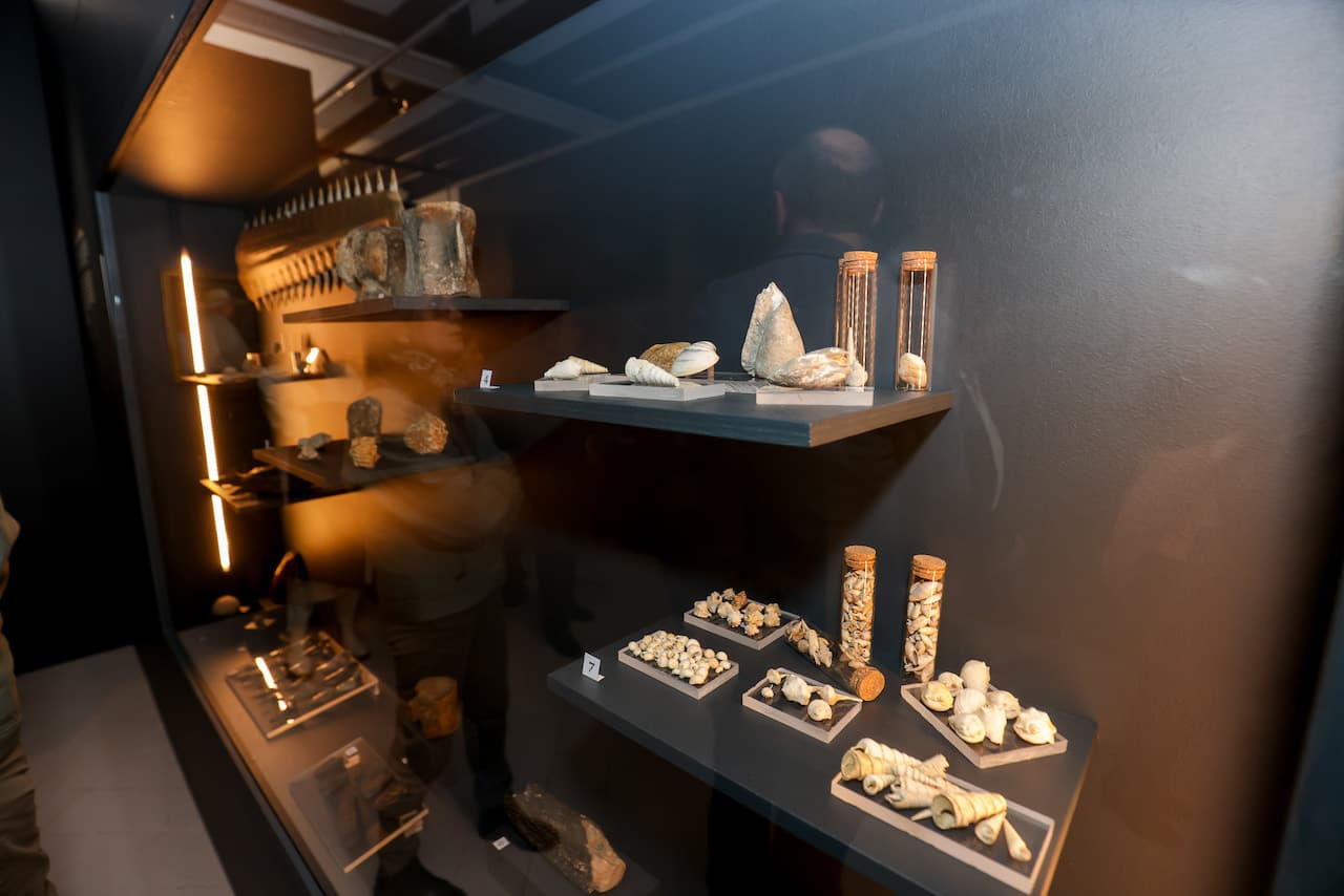 A Dax, voyage au coeur du musée de Borda