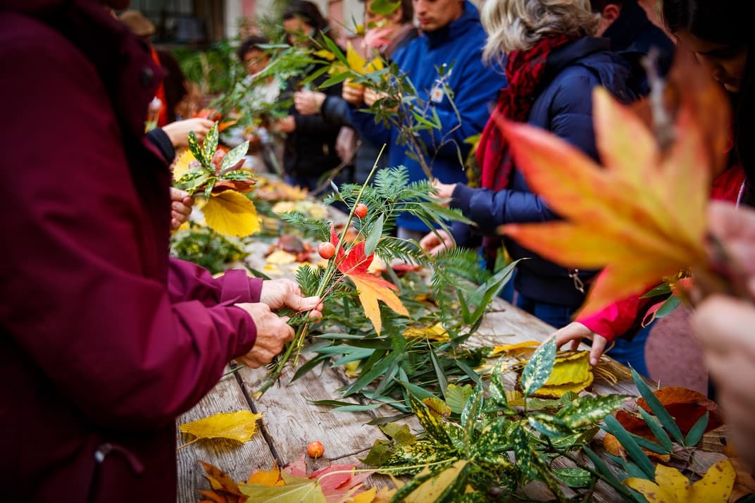 L’arbre en fête, terreau culturel fertile à Bordeaux Métropole