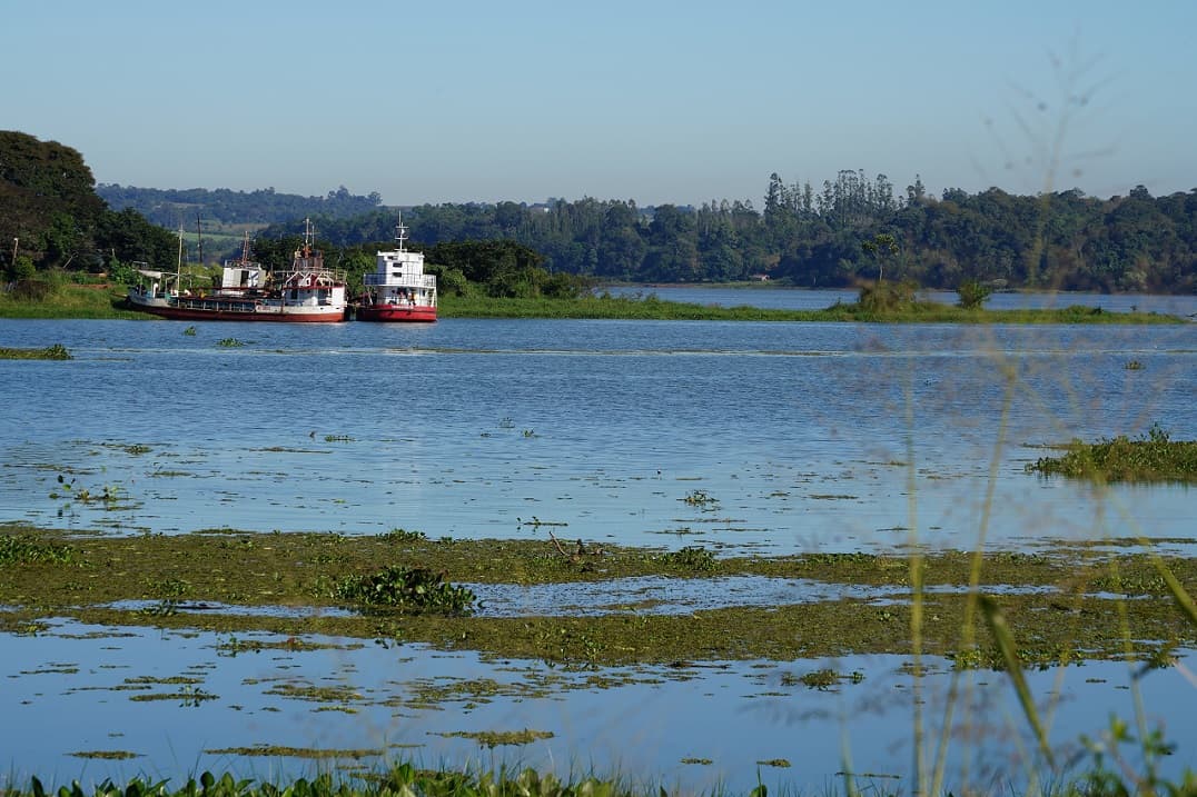 L’illustre Aimé Bonpland célébré à La Rochelle