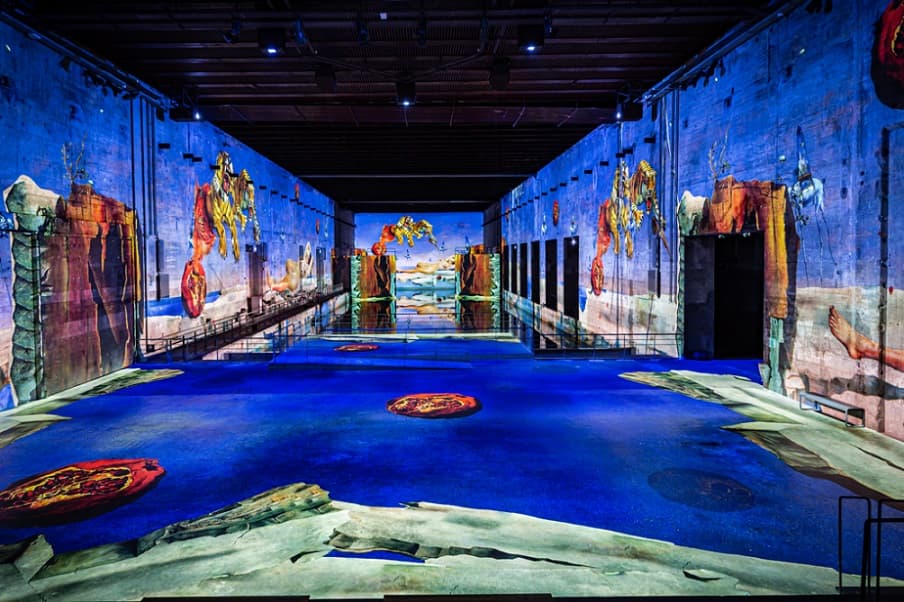Bassins des Lumières : Salvador Dalí en met plein la vue