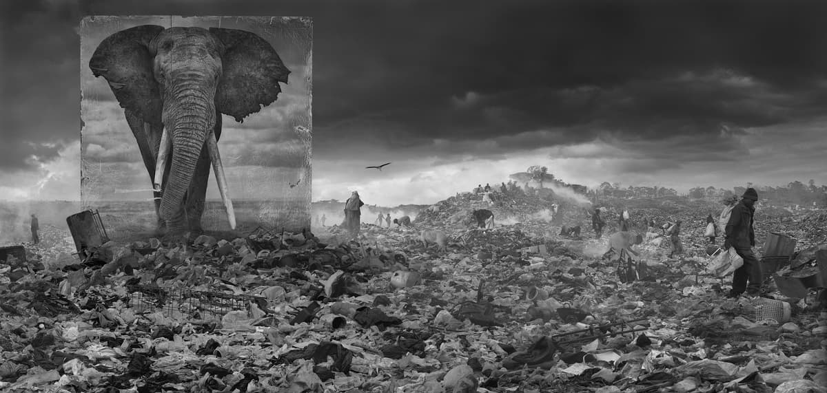 Le futur exposé à Angoulême avec l’Émoi photographique