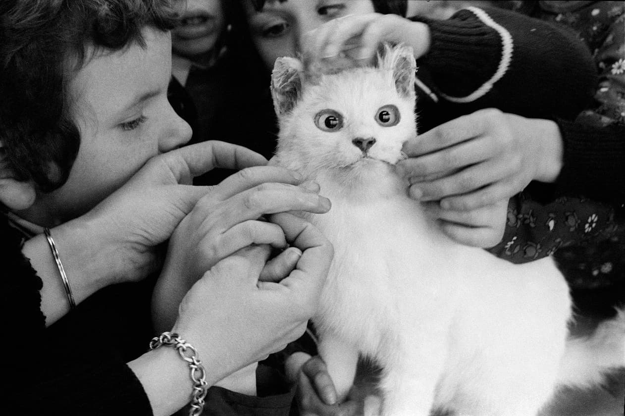 Une immense photographe franco-américaine exposée à Pau