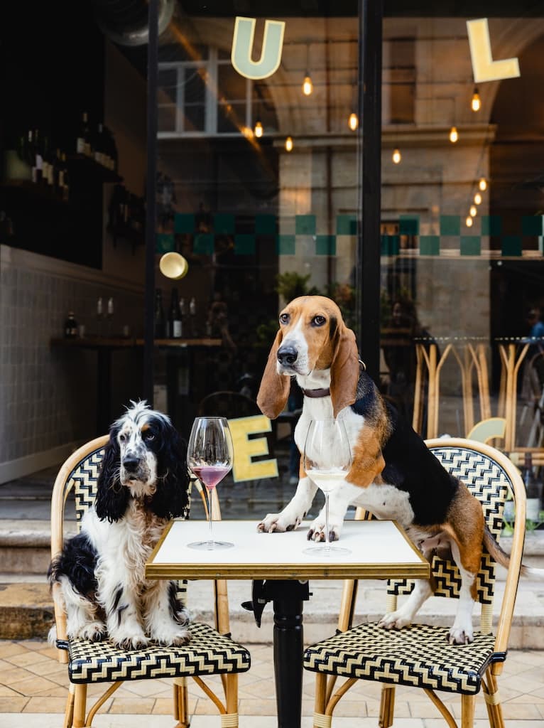Resto à Bordeaux : CulSec, le resto qui a du chien