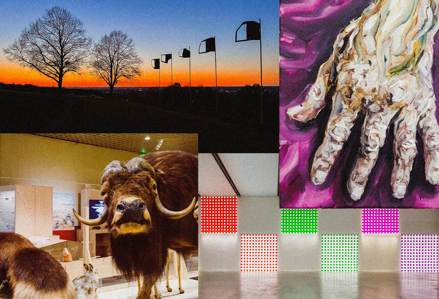 Buren, art préhistorique… les 4 expositions à ne pas louper en Nouvelle-Aquitaine