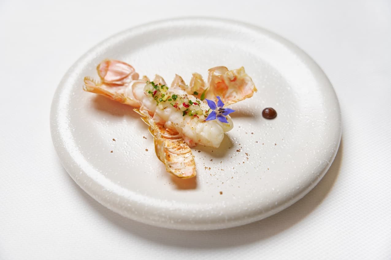 Le restaurant Amicis à Bordeaux décroche sa première étoile et fait souffler un vent de fraicheur culinaire
